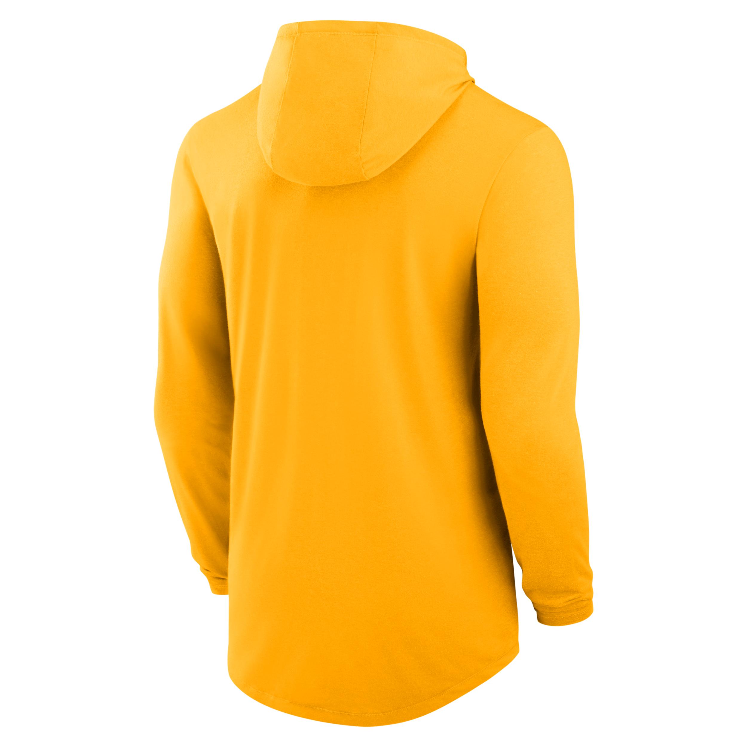 Iowa Campus Arch Nike Mens Dri-FIT College Long-Sleeve Hooded T-Shirt | 01NB76IIA-SSR Product Image