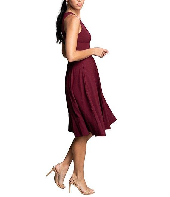 Dress the Population Catalina Crepe V-Neck Sleeveless A-Line Dress Product Image