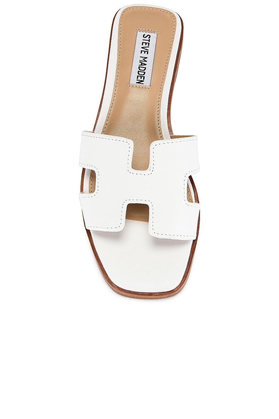 Hadyn Sandal Steve Madden Product Image