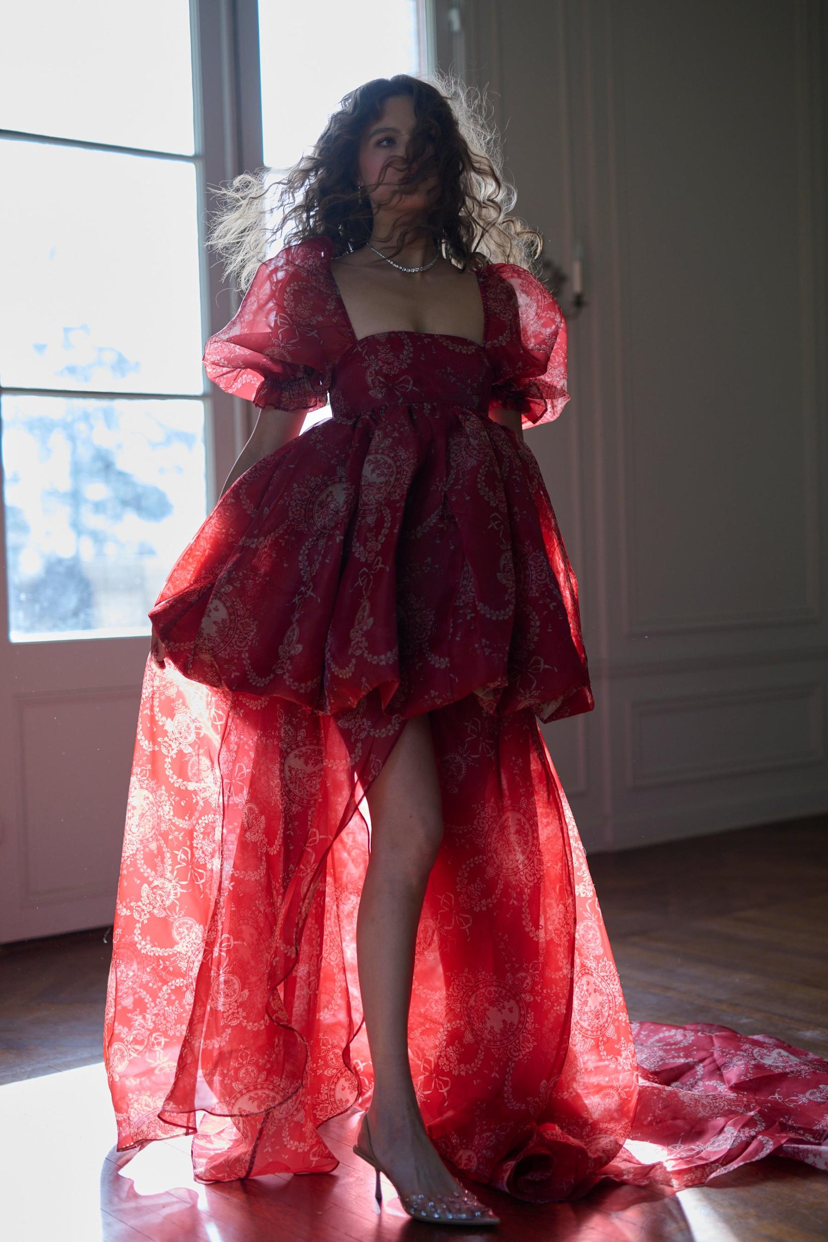 The Ornament Fairytale Gown Product Image