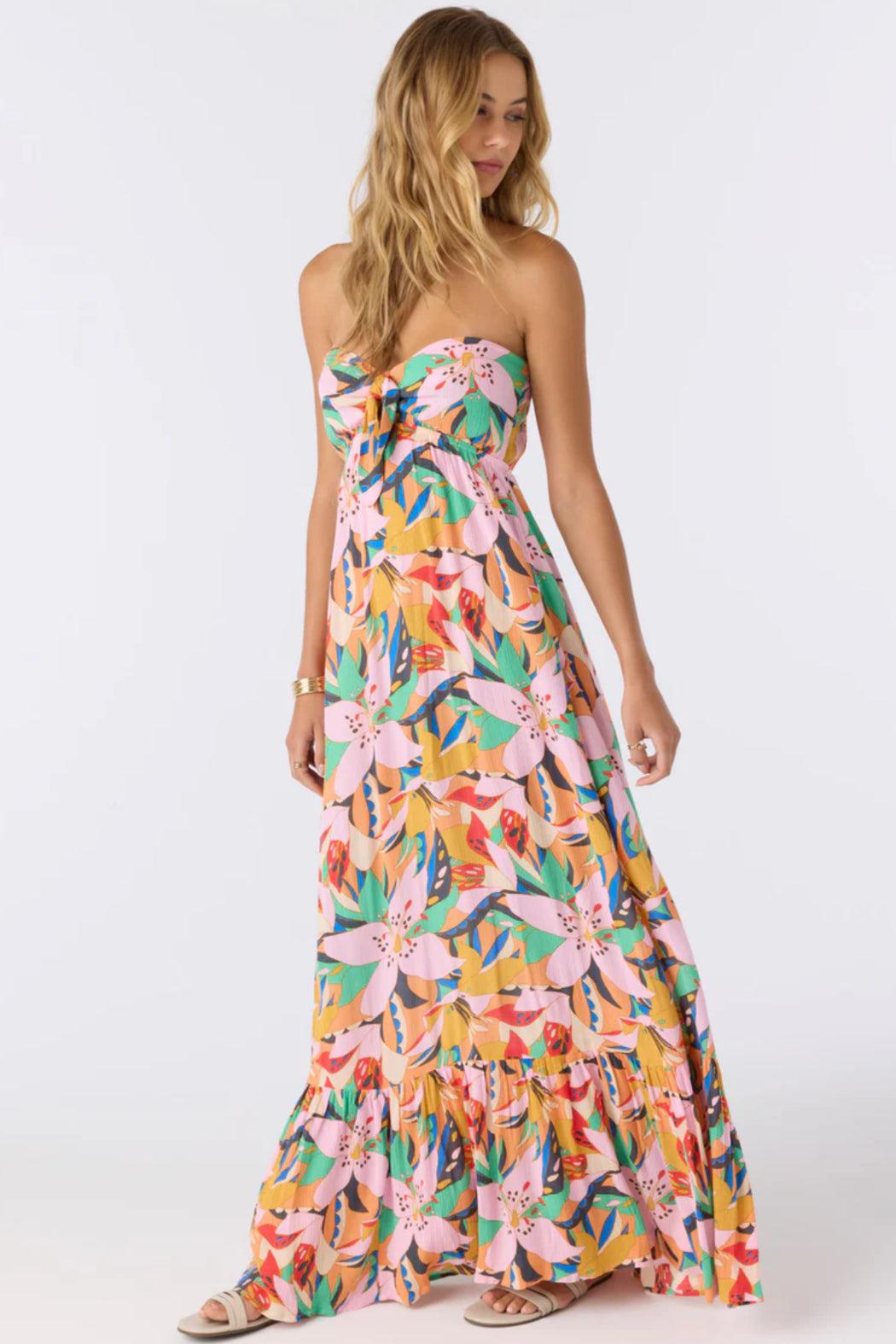 Isadora Maxi Dress Product Image