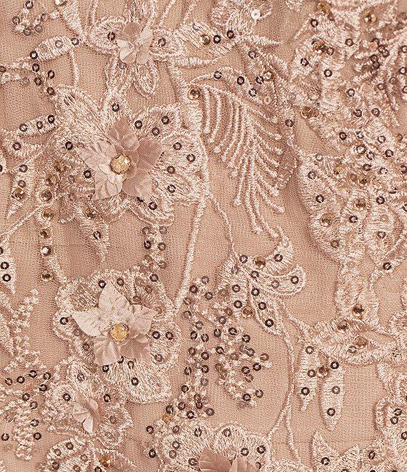 Xscape Plus Size Illusion Boat Neck Embroidered Sequin Bodice Chiffon Gown Product Image