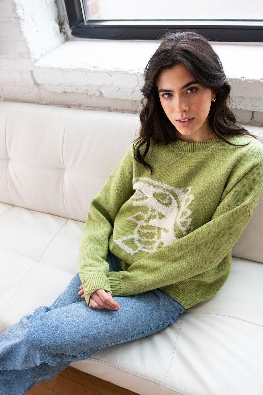 Dinosaur Sweater Product Image