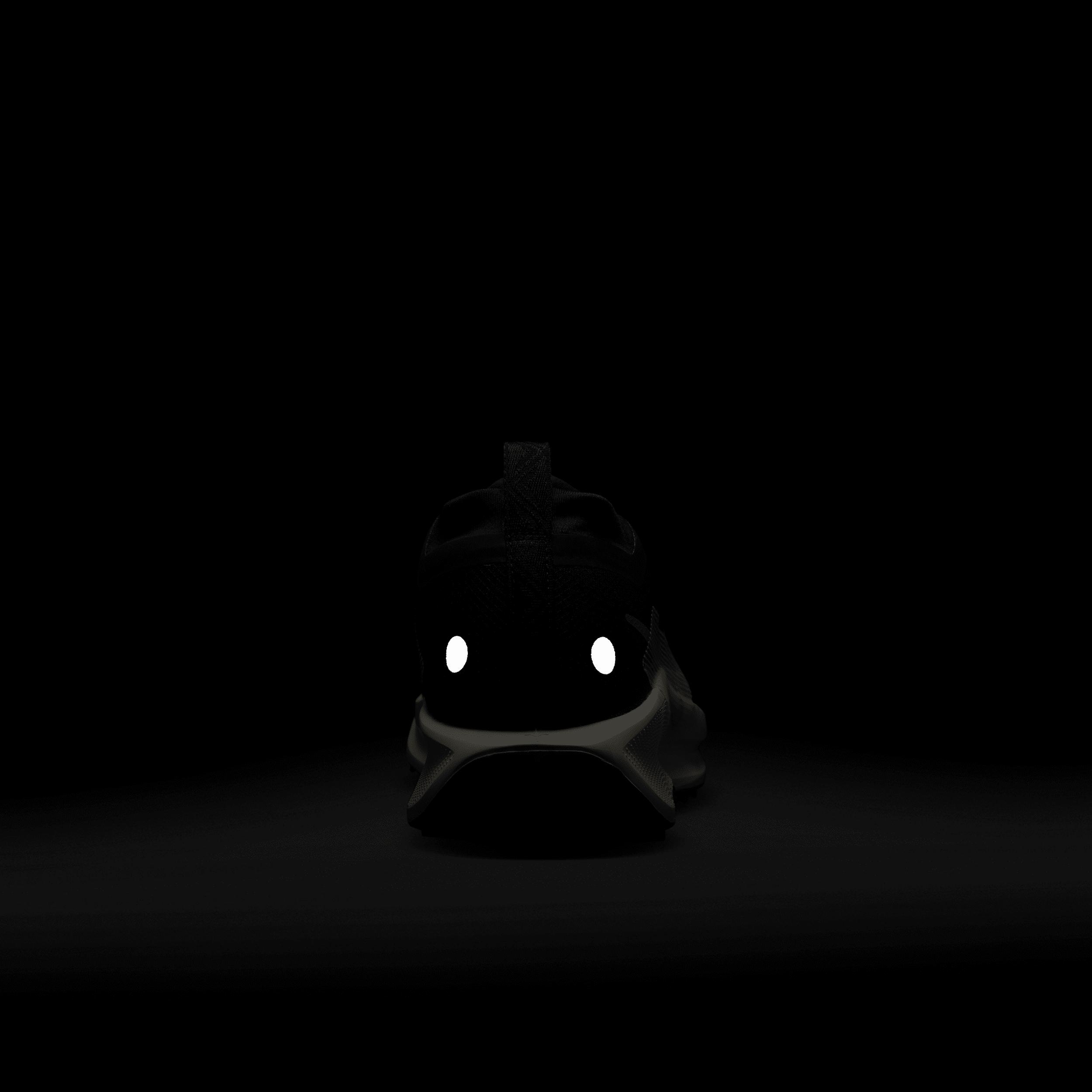 Nike Men's Pegasus Trail 5 GORE-TEX Waterproof Trail Running Shoes Product Image