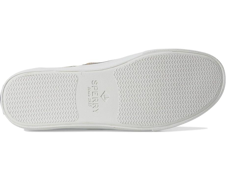 CVO Canvas Product Image