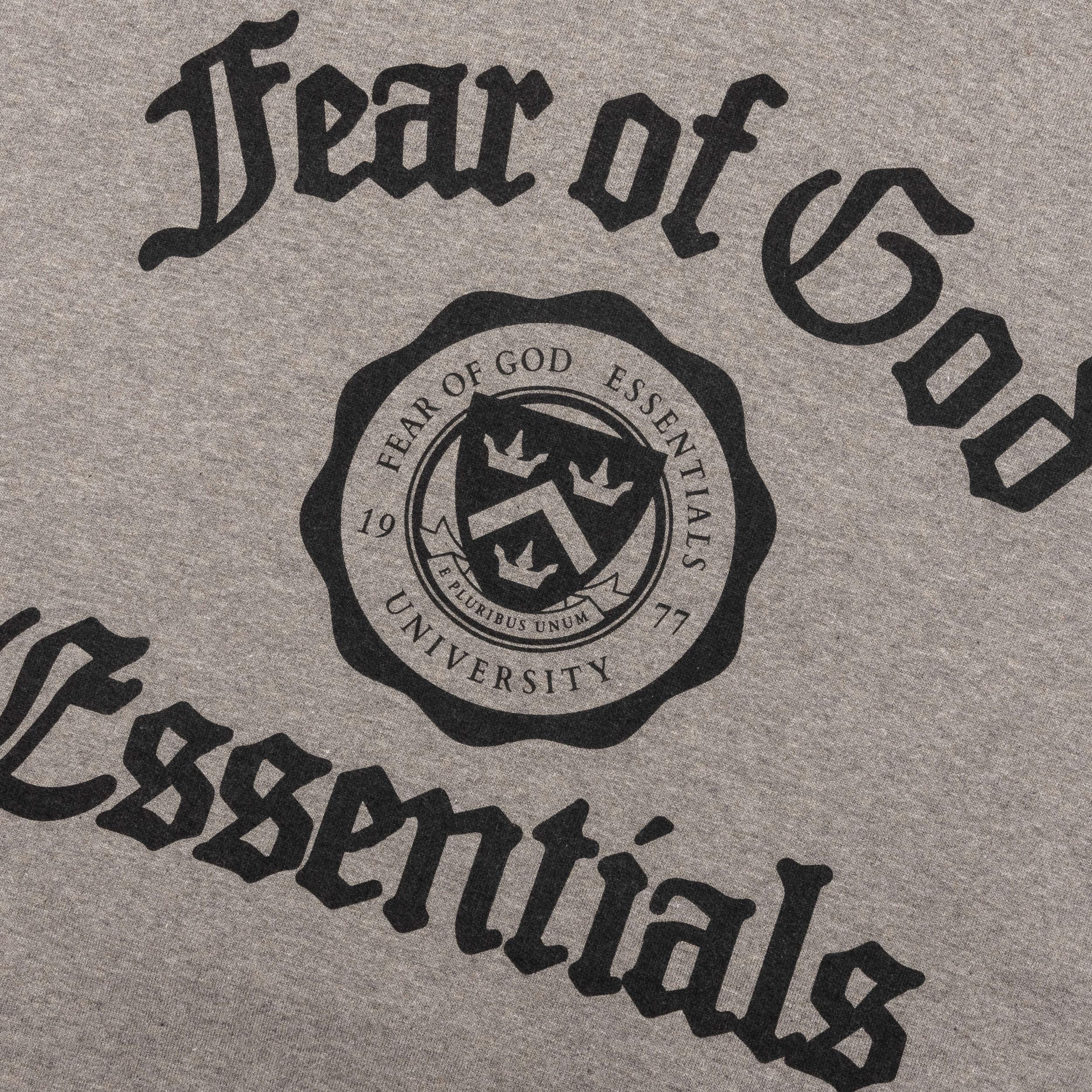 Heavy Fleece Vintage Shrunken Hoodie - Heather Gray Male Product Image