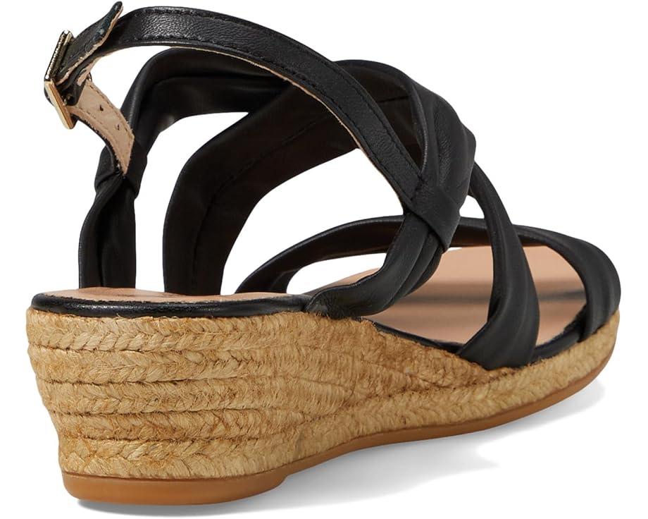 Havana Product Image