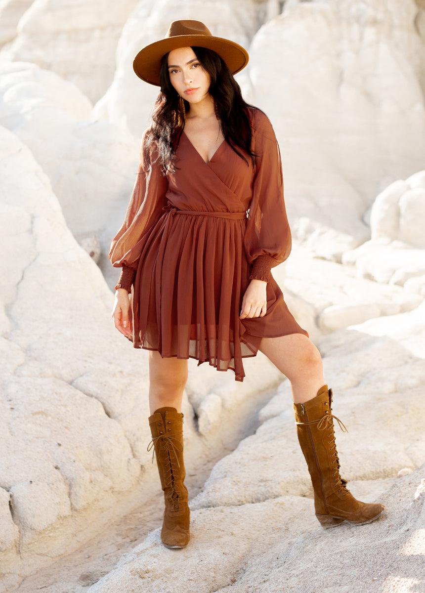 Ani Dress in Rust Female Product Image