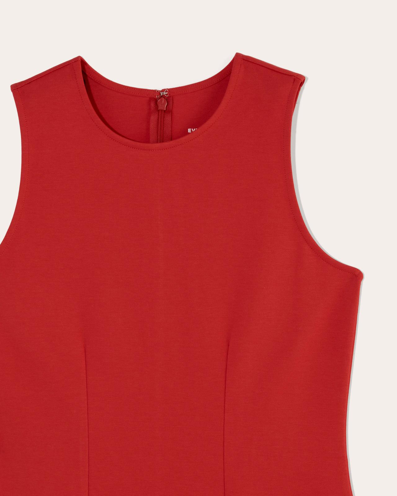 Womens Dream 90s Shift Dress by Everlane Product Image