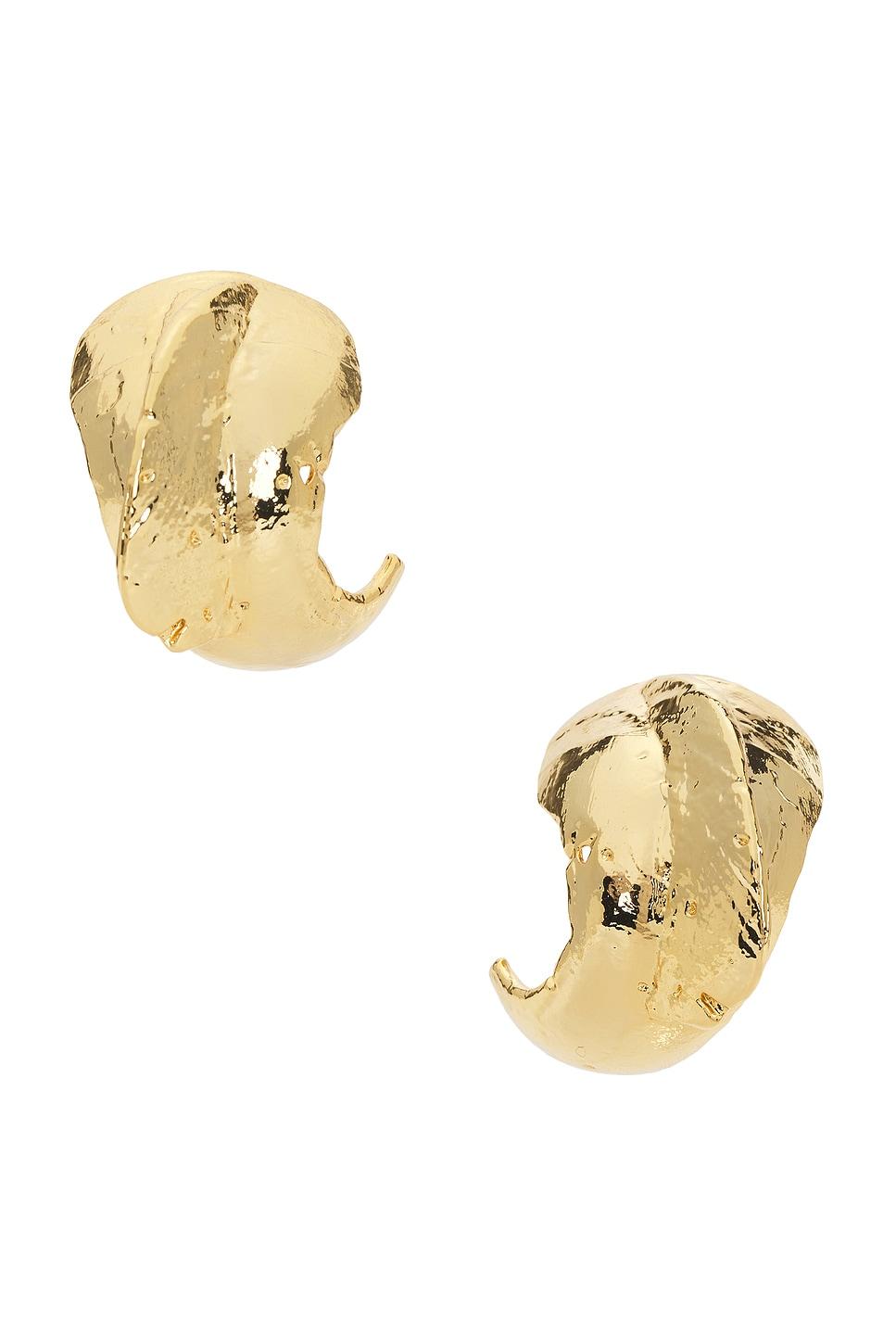 Shell Earrings Product Image