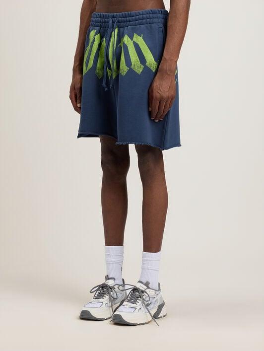 Big Waist Logo Sweatshorts Product Image