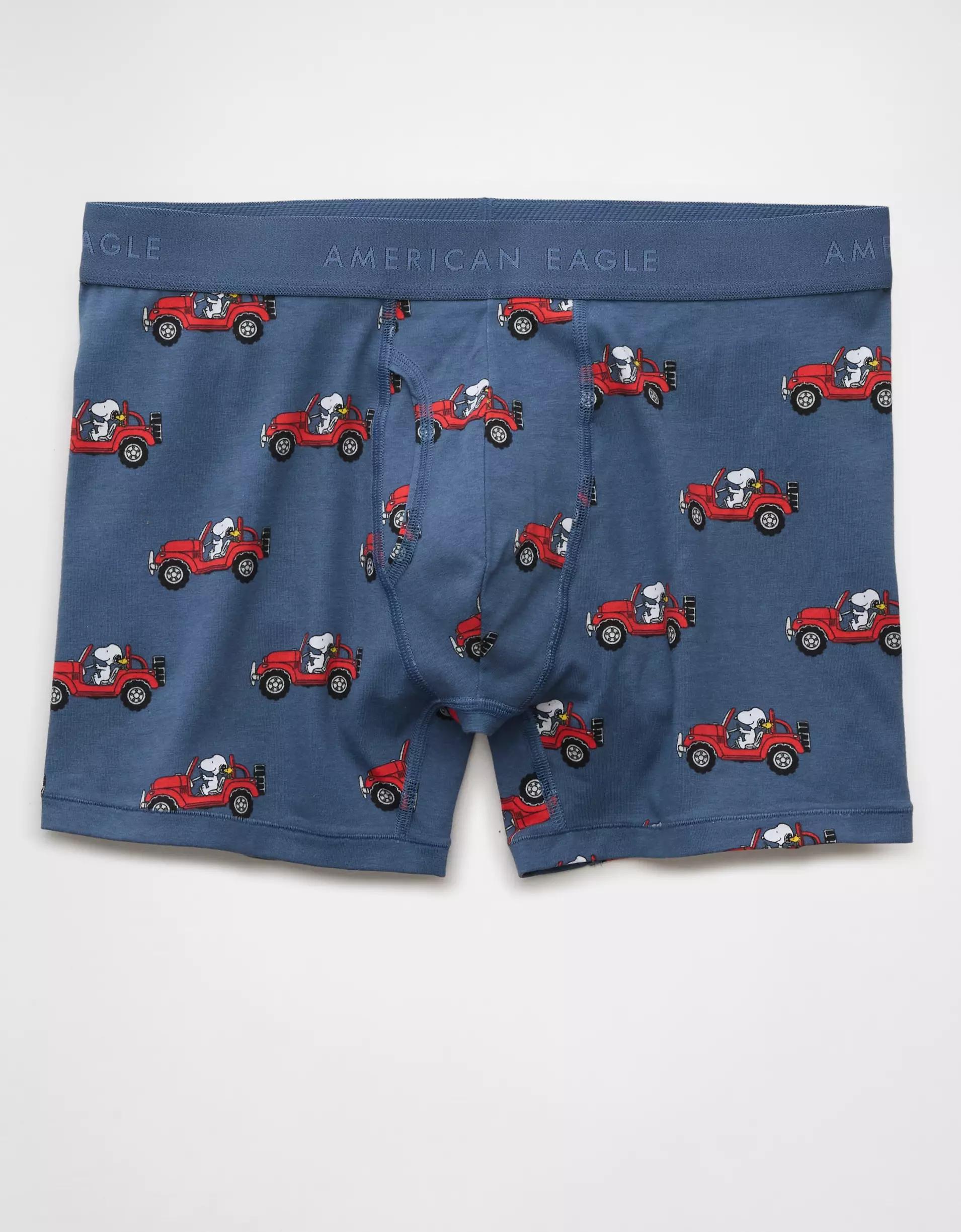 AEO Men's 4.5" Classic Boxer Brief Product Image