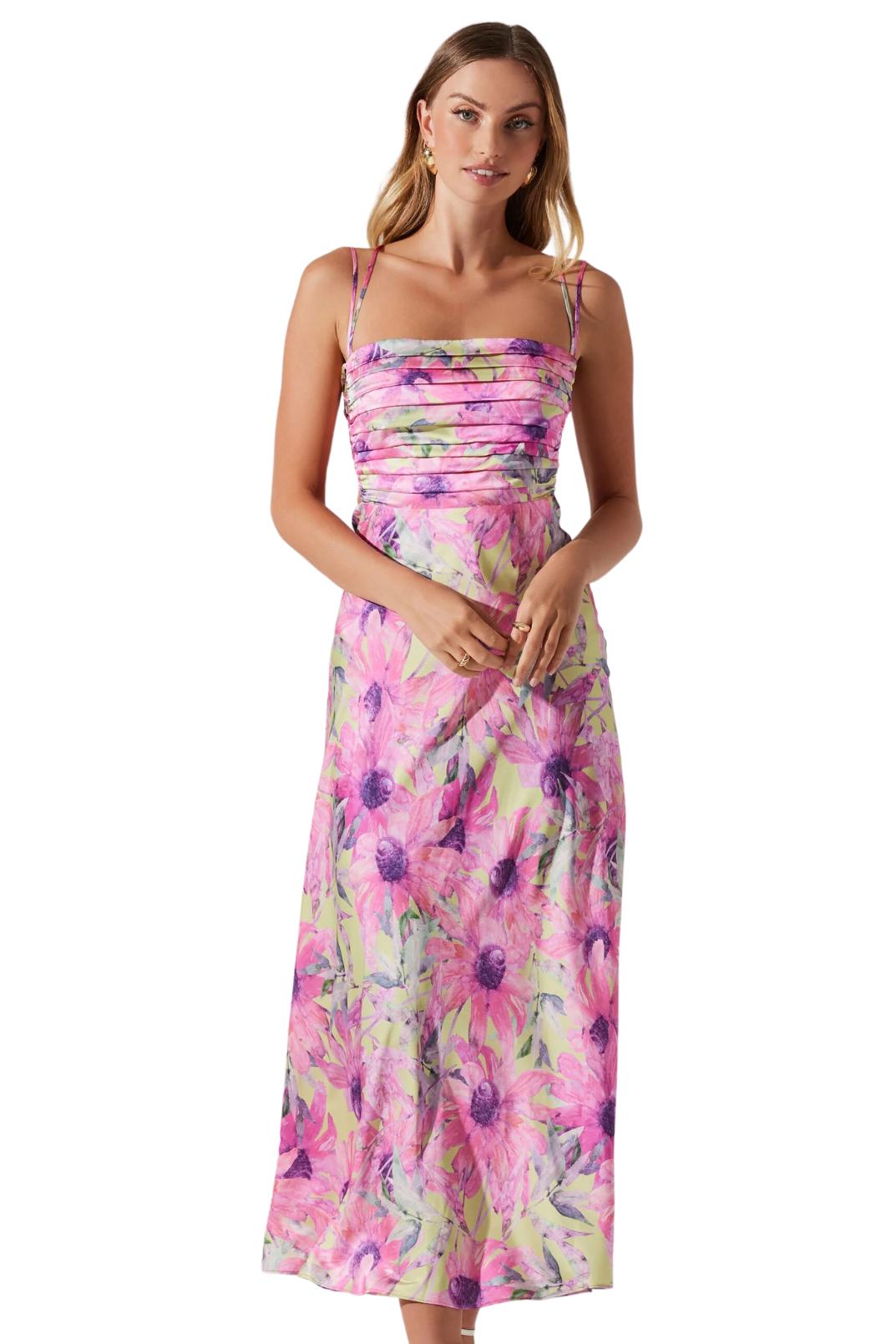 Antlia Dress Product Image