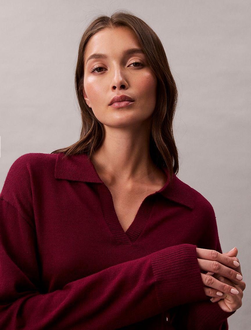 Merino Wool Blend Relaxed Polo Sweater Product Image