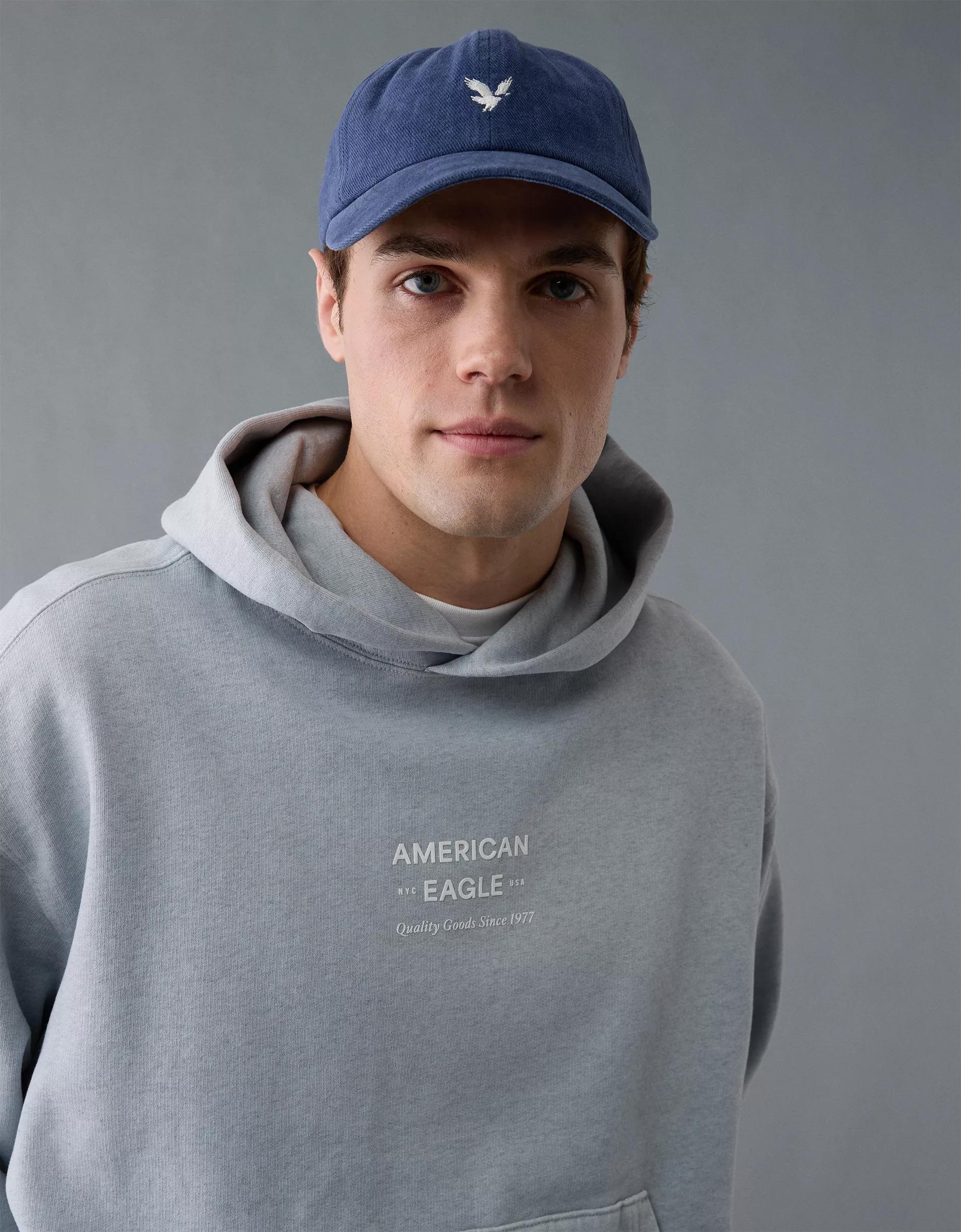 AE Laidback Luxe Heavyweight Logo Hoodie Product Image