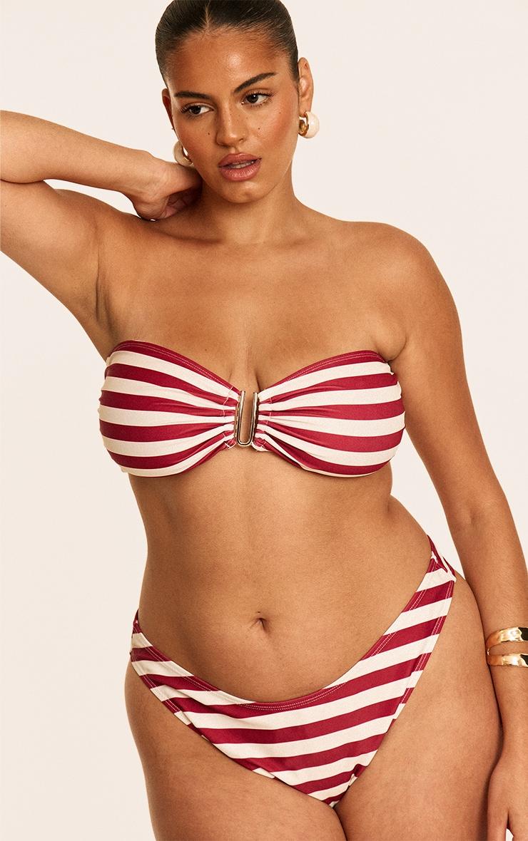 Plus Burgundy Stripe Tanga Bikini Bottoms Product Image