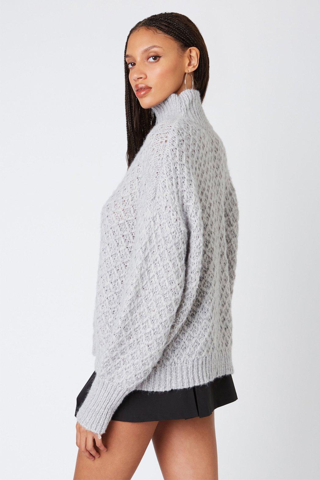 Tessa Textured  Turtleneck Product Image