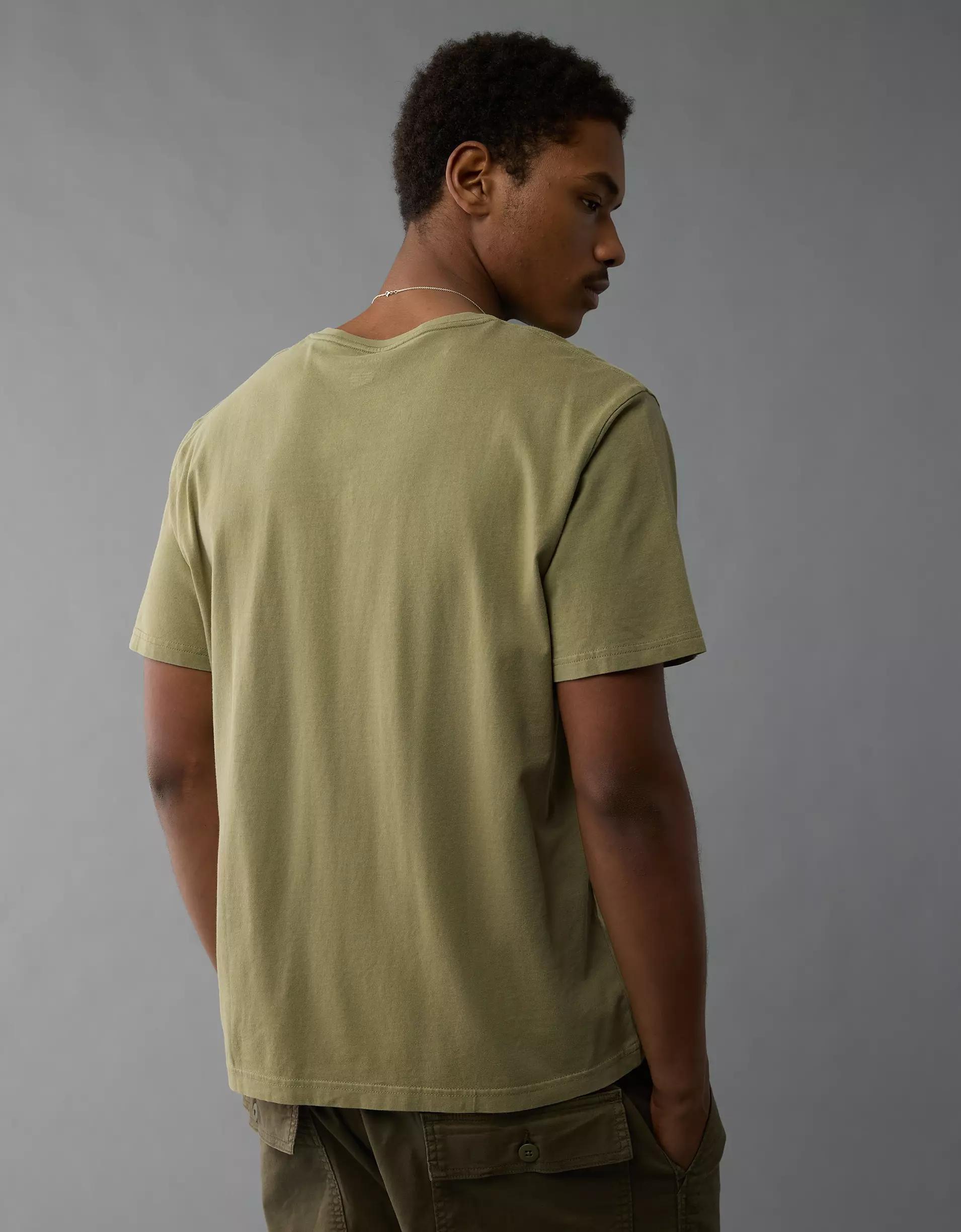 AE Lived-In V-Neck T-Shirt Men's Product Image