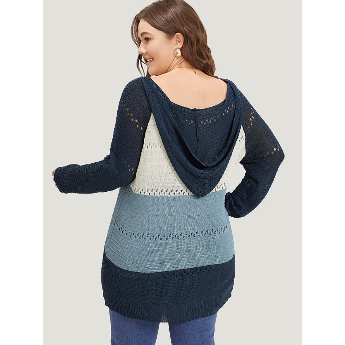 Plus Size Colorblock Hooded Raglan Sleeve Eyelet Pullover Multicolor Women Casual Loose Long Sleeve Dailywear Pullovers BloomChic 14-16/1X Product Image