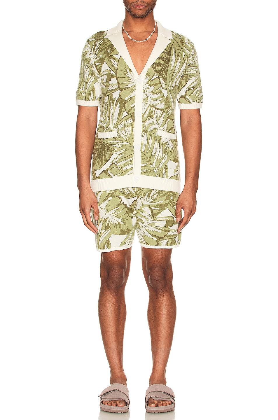 Taz Shirt Product Image