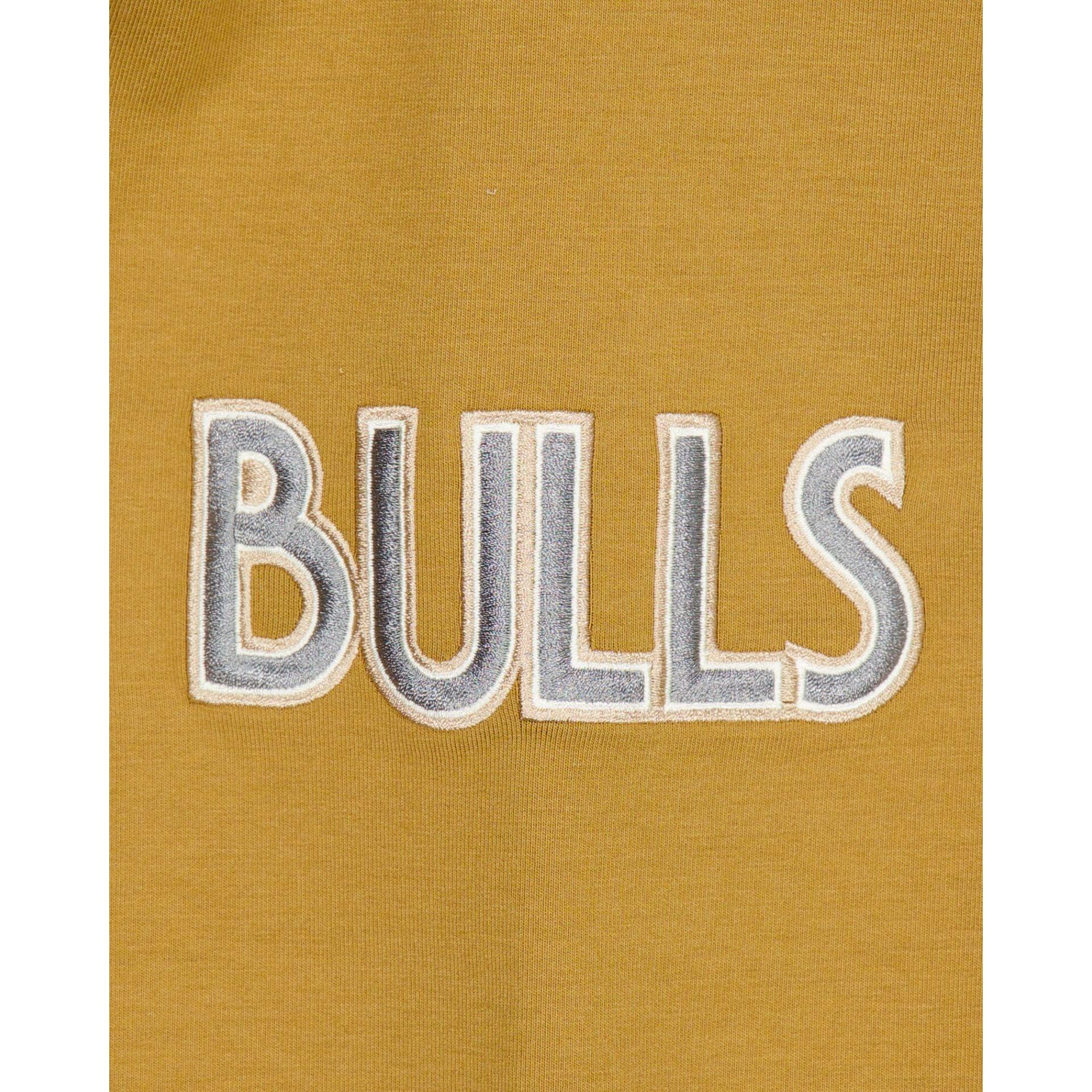 Toronto Raptors 2024 City Edition Hoodie Male Product Image