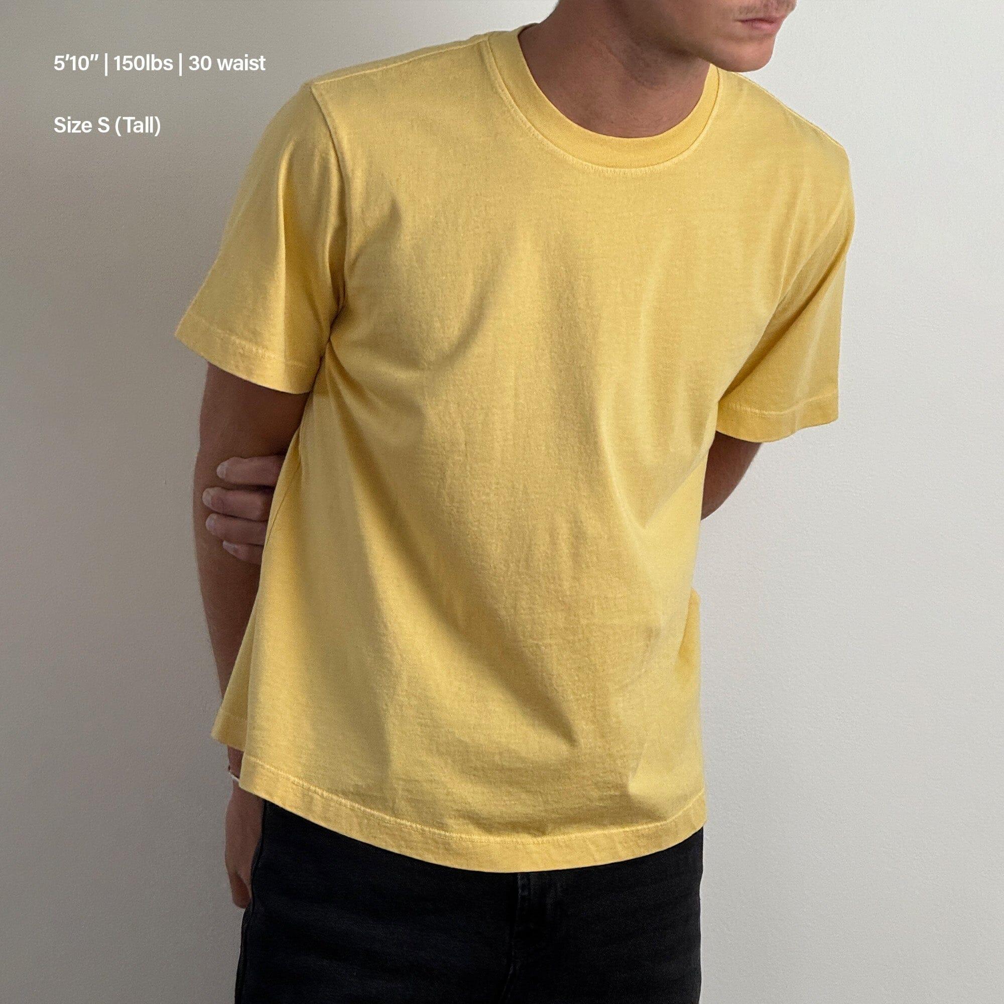 Silverlake Crop Tee II Product Image