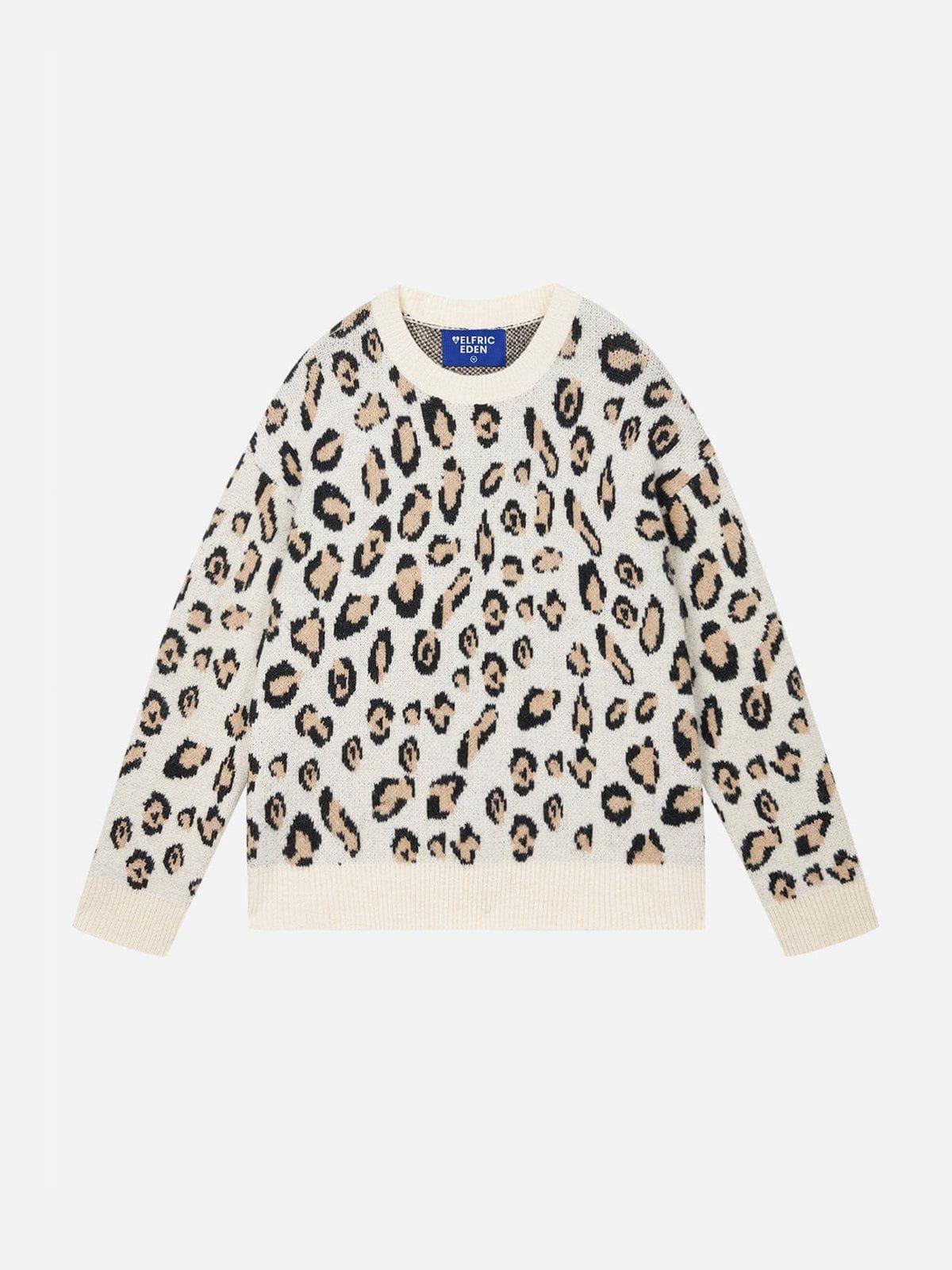 Aelfric Eden Leopard Graphic Sweater Product Image