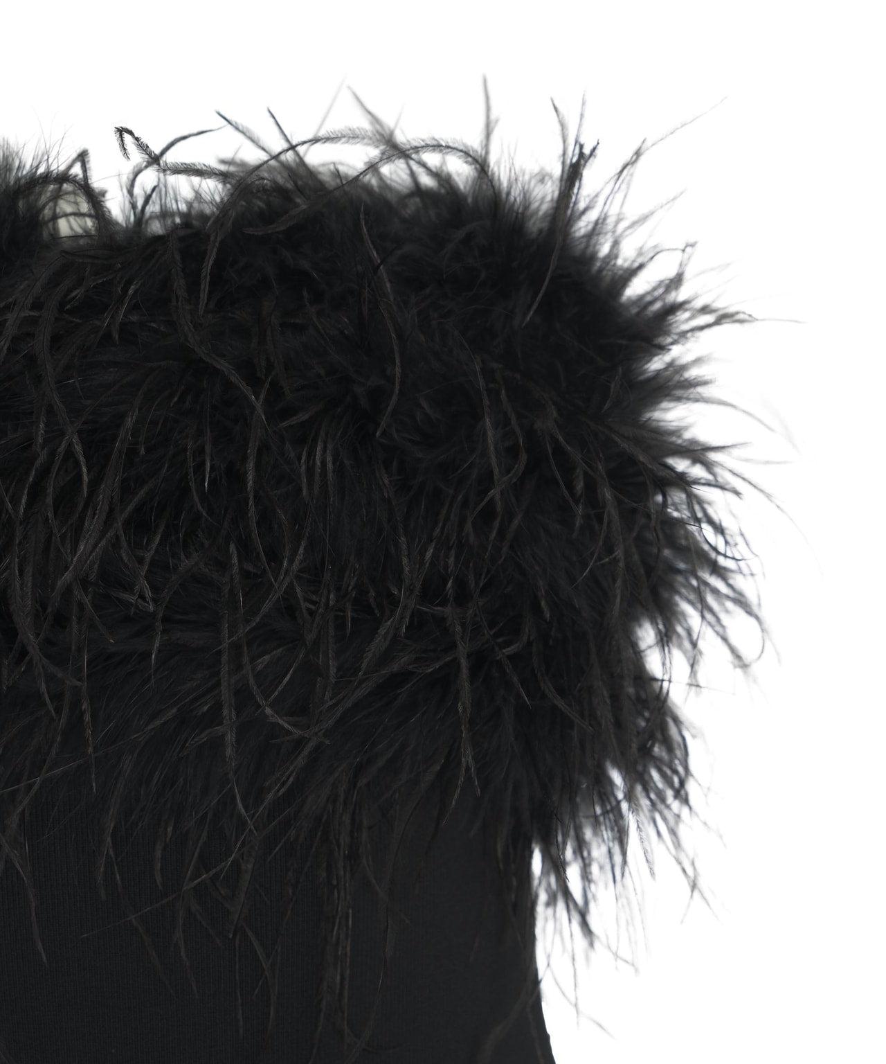 Maxi dress with feathers Product Image