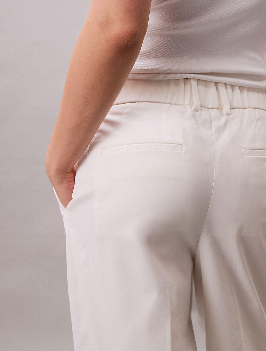 Cotton Stretch Pleated Chino Trouser Product Image