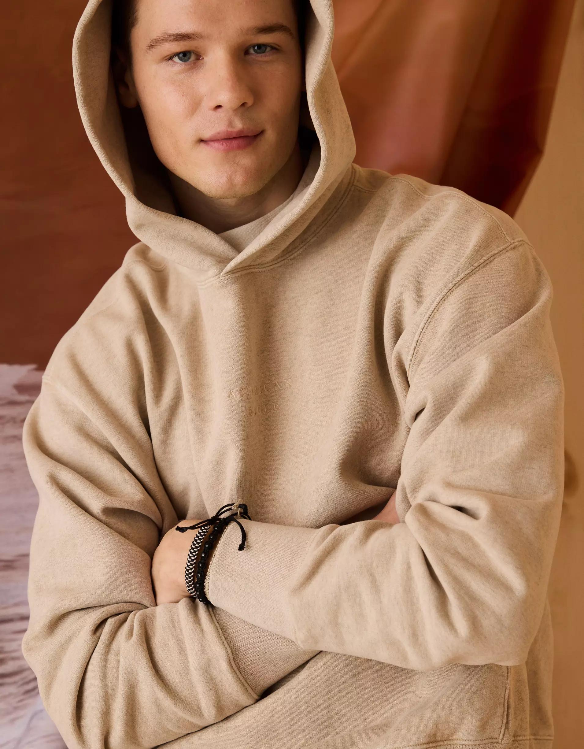 AE Laidback Luxe Heavyweight Logo Hoodie Product Image