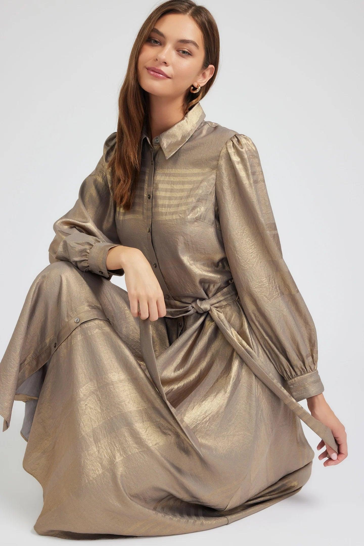 Maxi Long Sleeve Dress Product Image