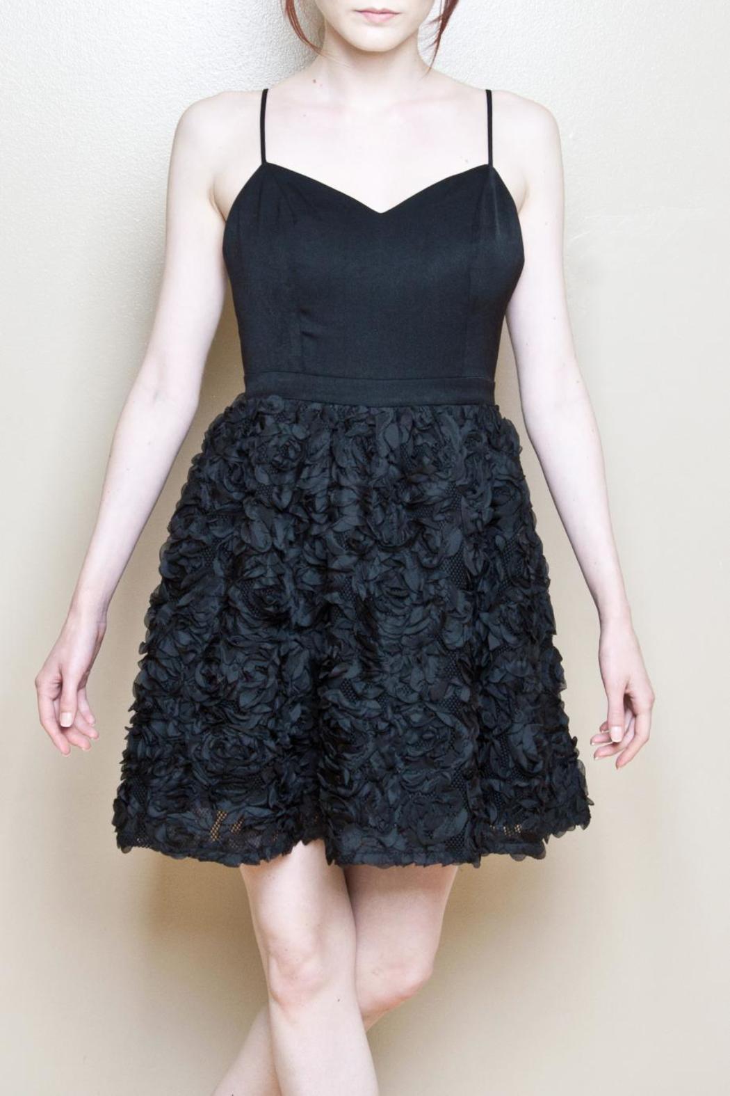 Bella Swan Dress Product Image