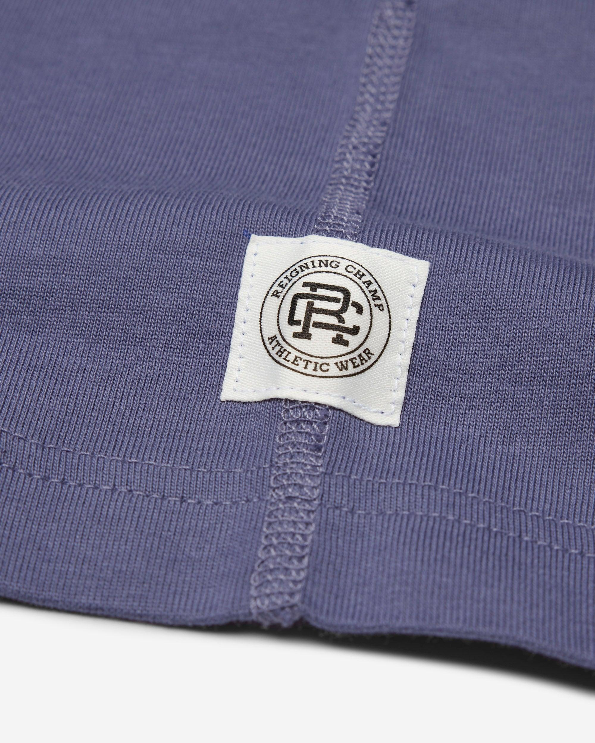 Lightweight Jersey Standard Raglan T-Shirt Male Product Image