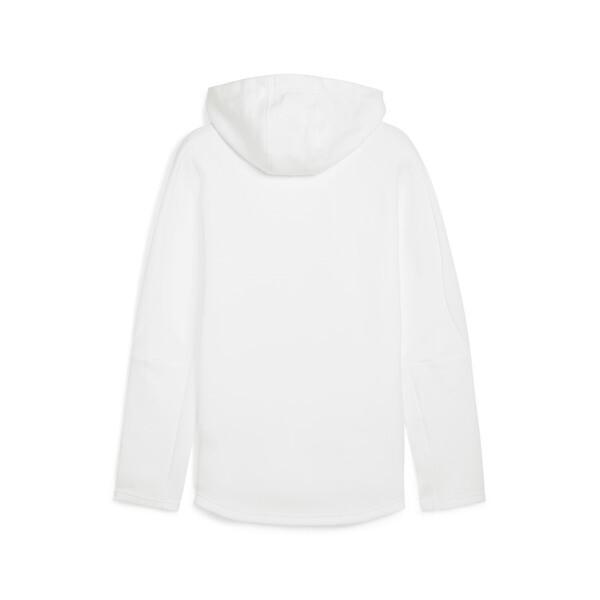 PUMA EVOSTRIPE Full-Zip Men's Hoodie Product Image