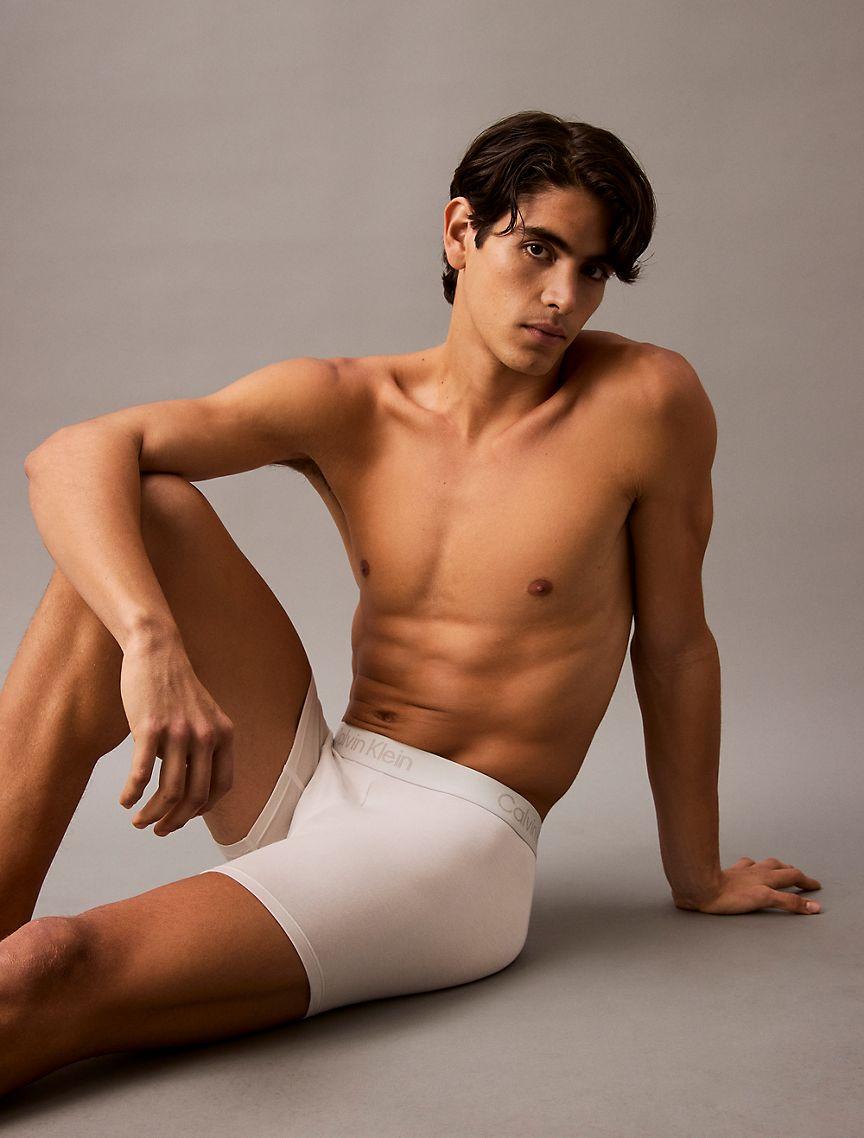 Ultra Soft Modal 3-Pack Boxer Brief Product Image