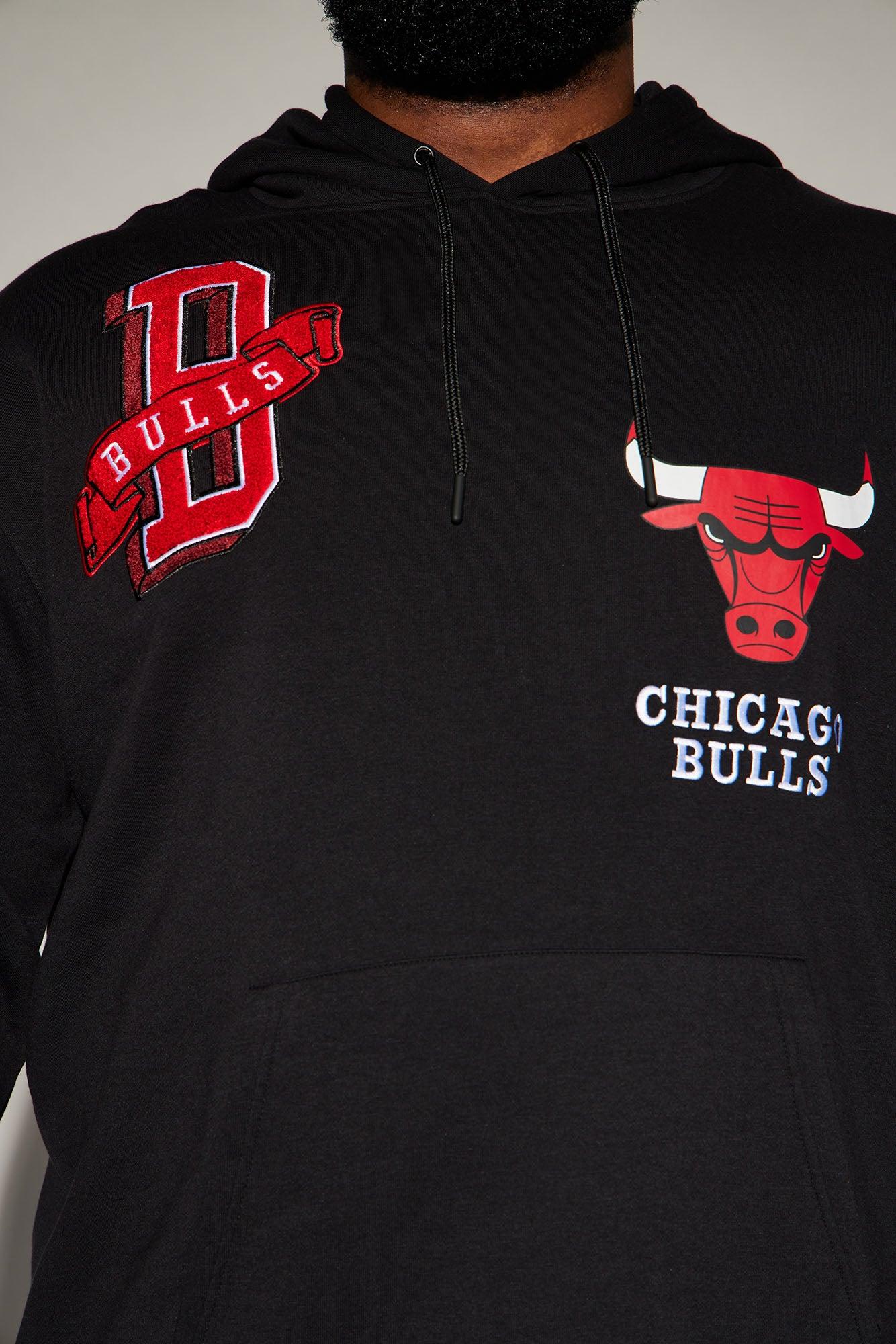 Bulls Campus Hoodie - Black Male Product Image