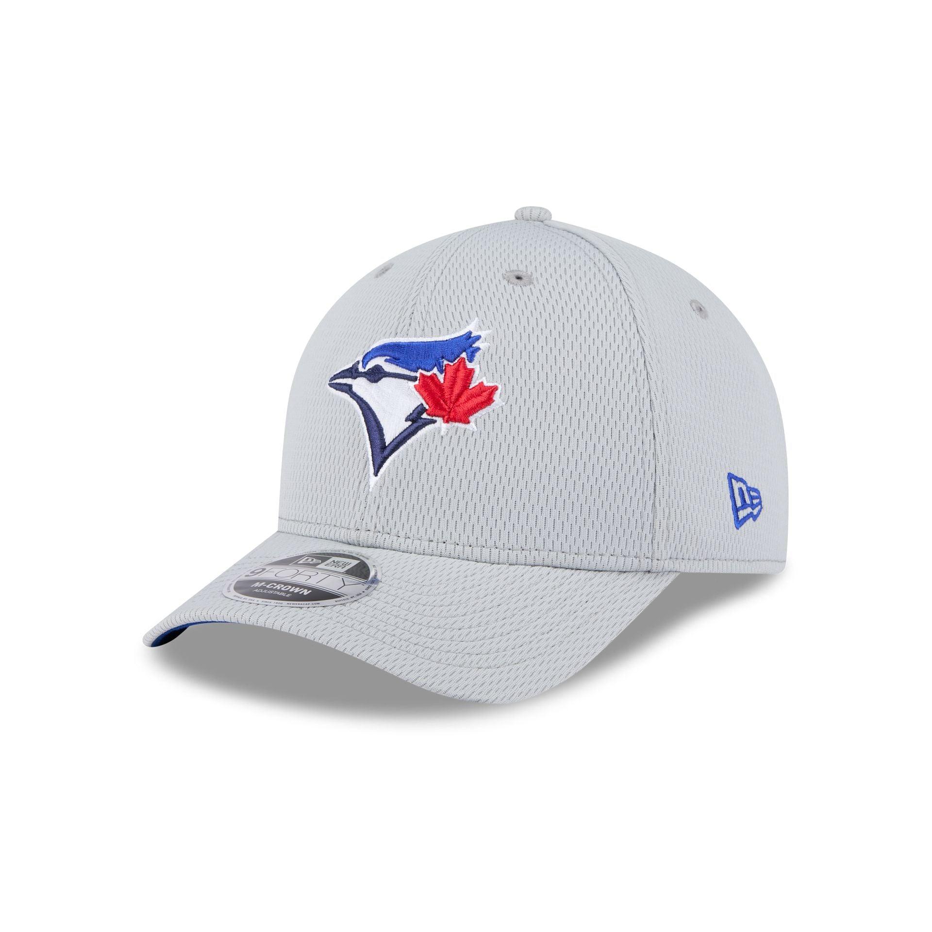 Toronto Blue Jays 2025 Clubhouse Gray 9FORTY M-Crown Snapback Hat Male Product Image