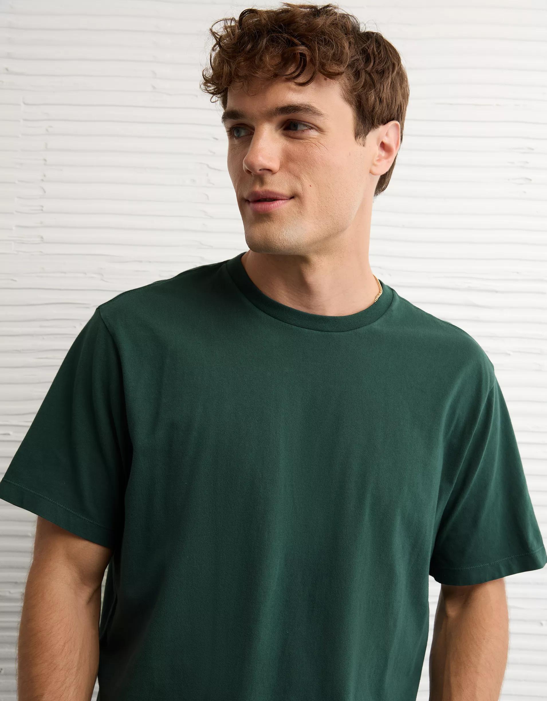 AE Lived-In T-Shirt Product Image