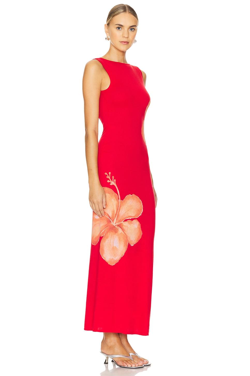 Vicenta Maxi Dress Lovers and Friends Product Image