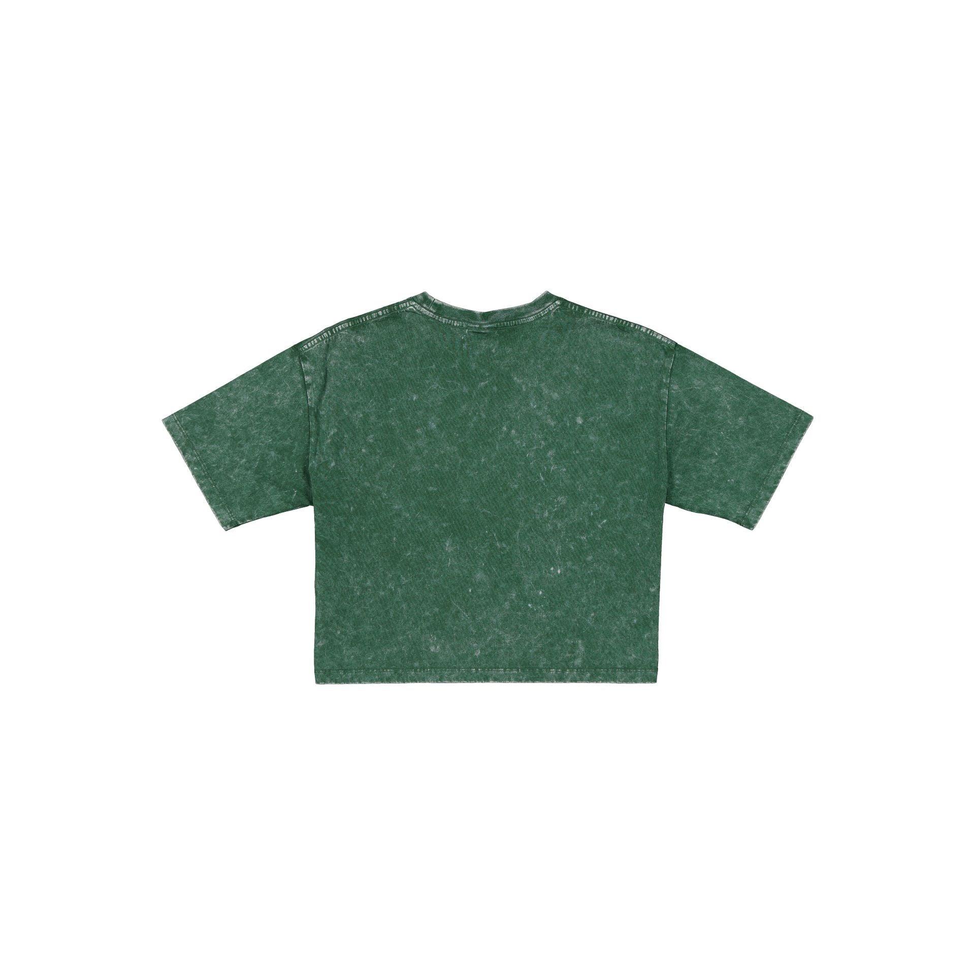 Pittsburgh Steelers Sport Classics Women's Cropped T-Shirt Female Product Image