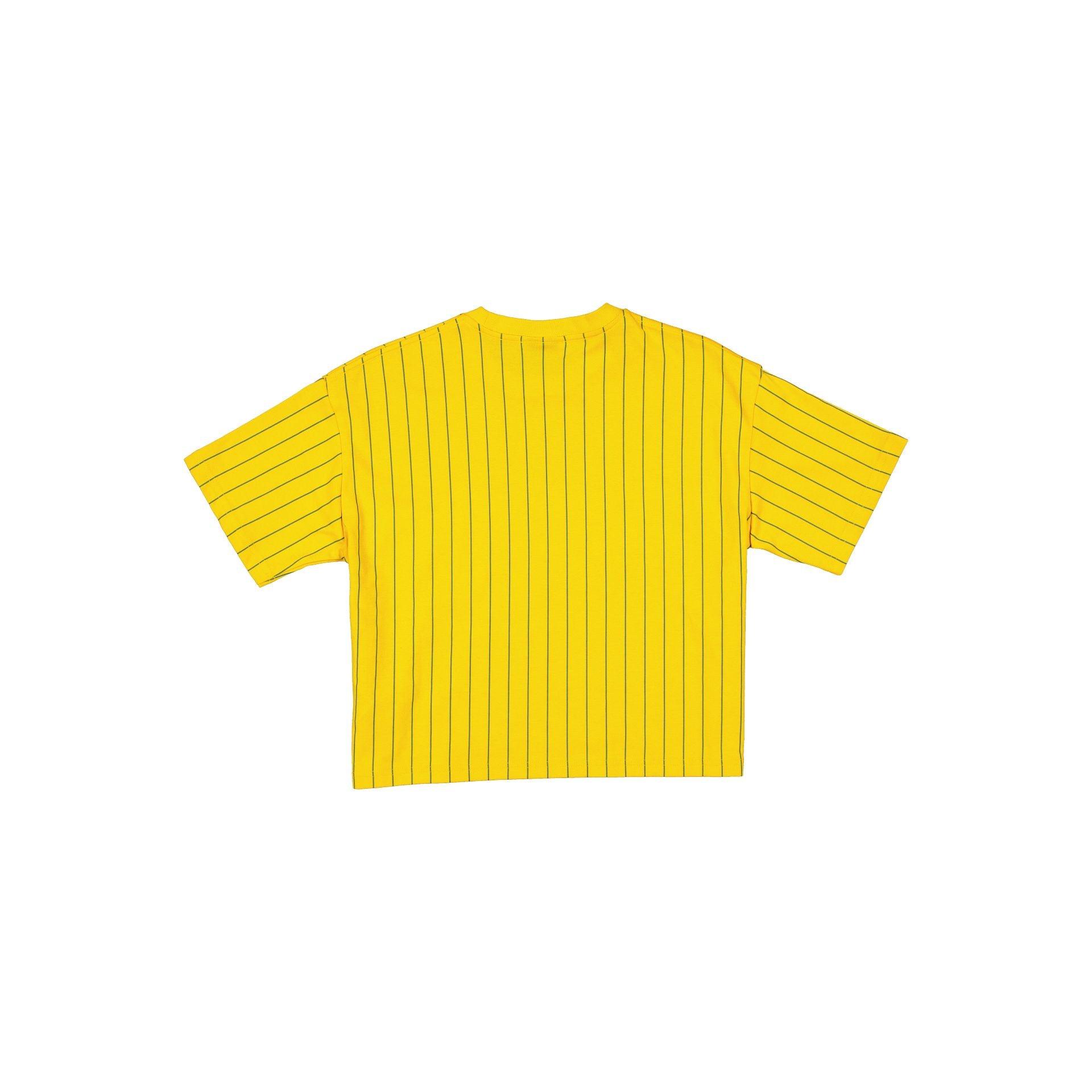 Boston Red Sox City Connect Women's Pinstripe T-Shirt Female Product Image