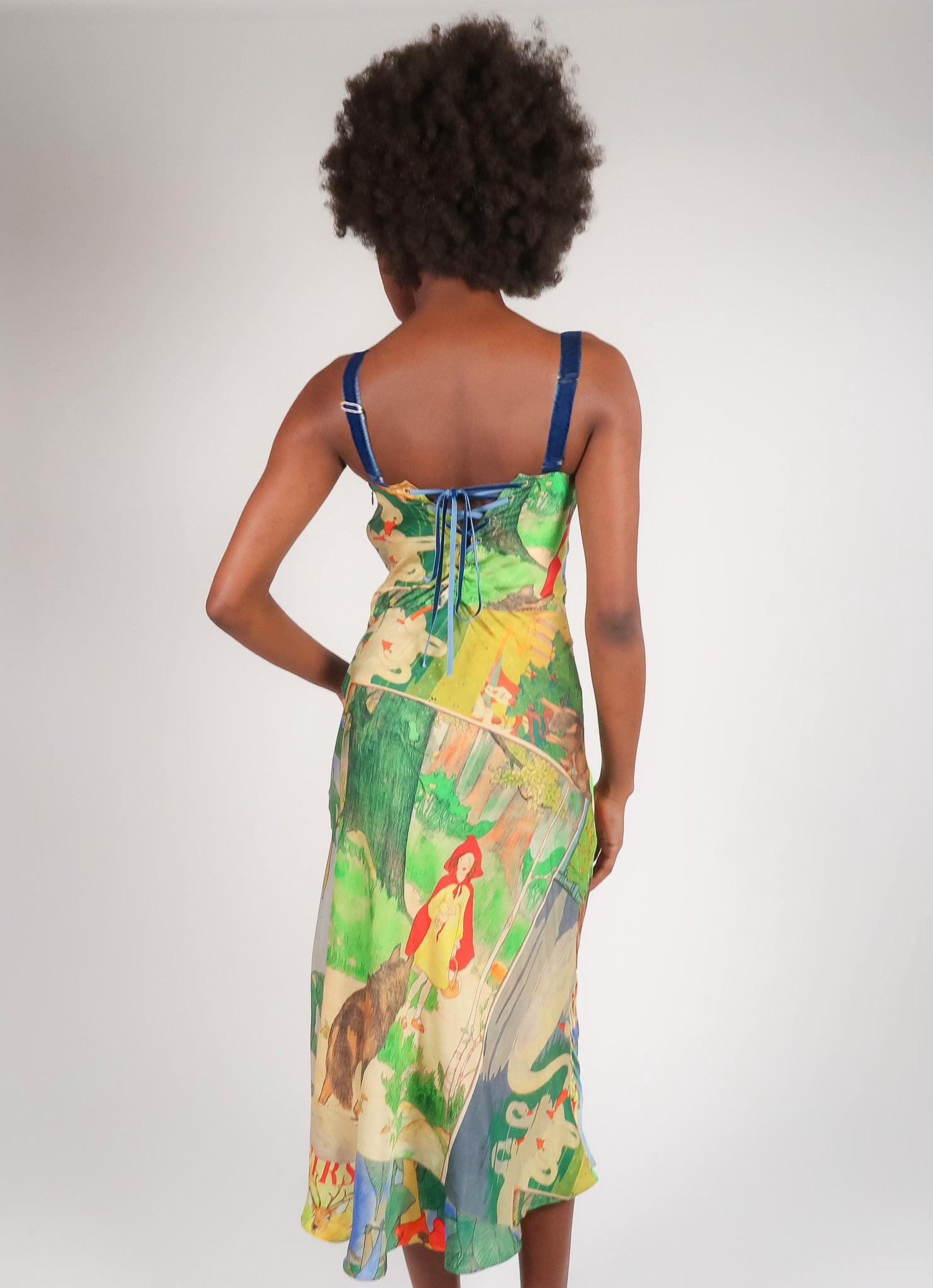 Fairytale Corset Dress Product Image