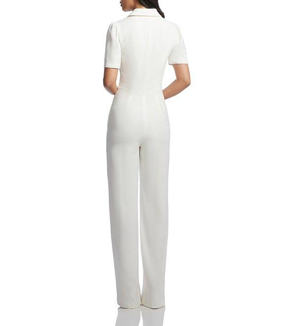 Dress the Population Gloria Collared Zip Neck Short Sleeve Wide Leg Jumpsuit Product Image
