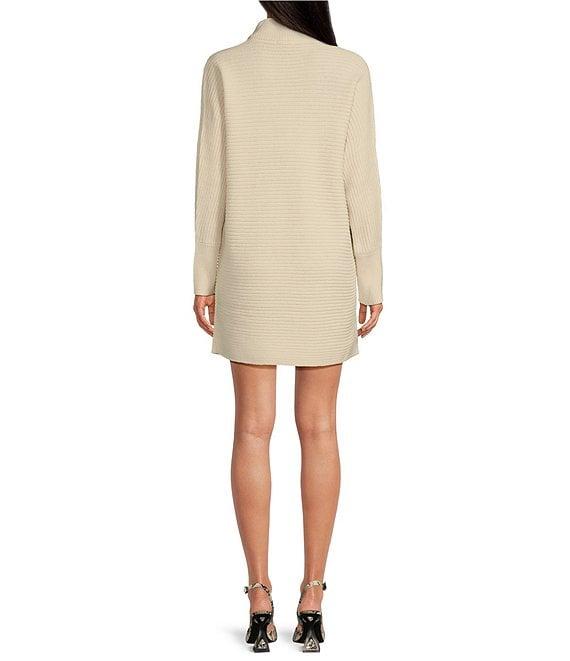 Gianni Bini Michelle Acrylic Turtleneck Long Sleeve Sweater Dress Product Image