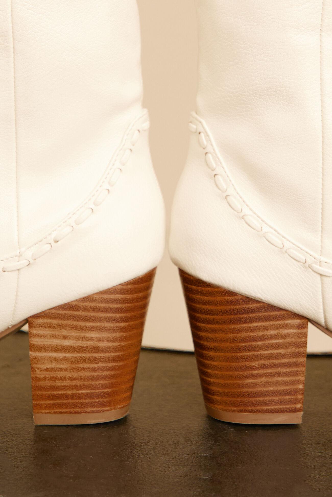 Finley Boots by Billini Product Image