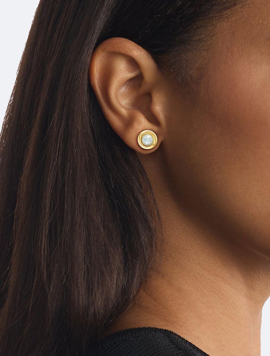 Contoured Earrings Product Image