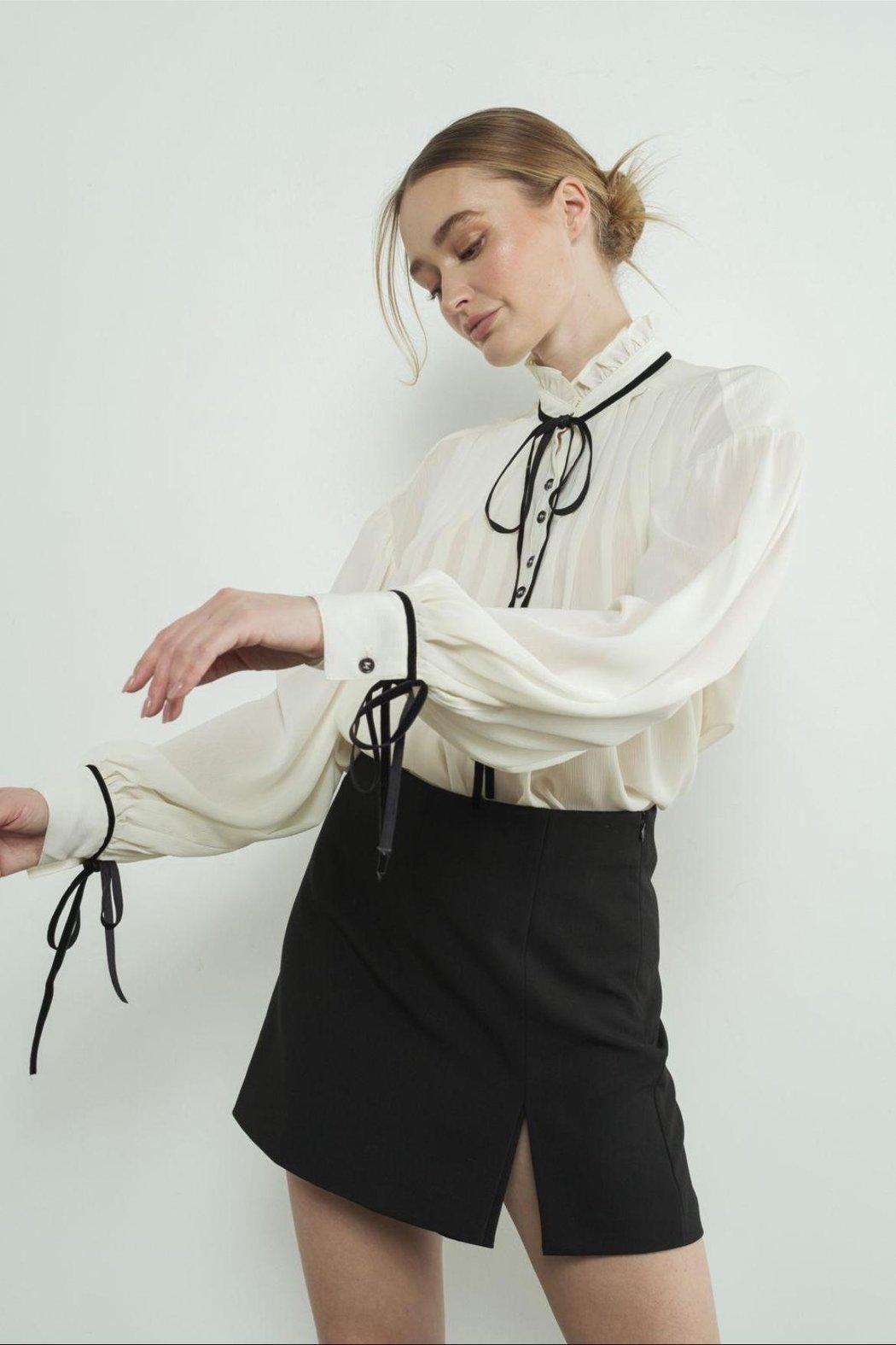 Sheer Pintuck Blouse Product Image