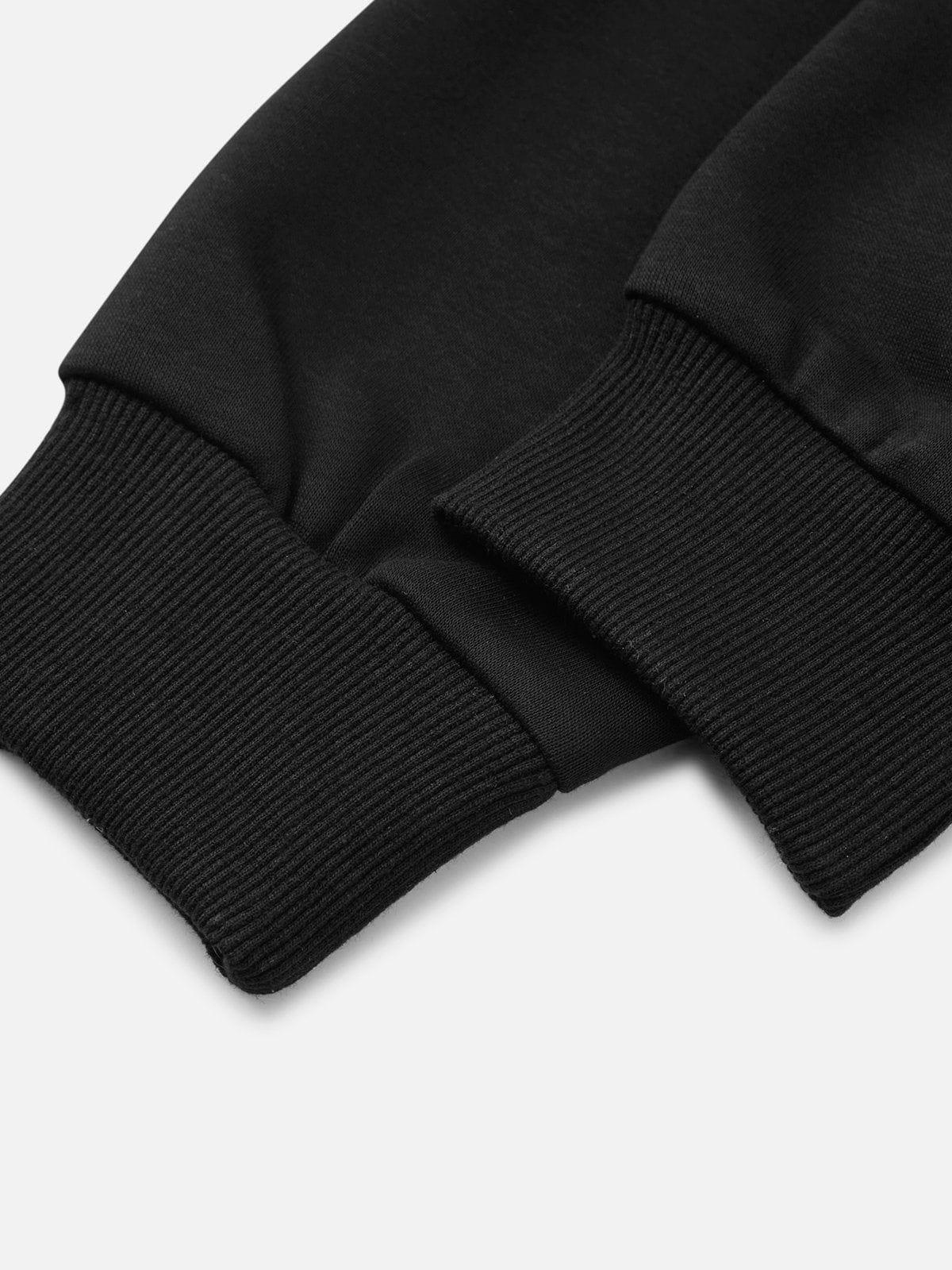 Aelfric Eden Solid Sweatshirt Product Image