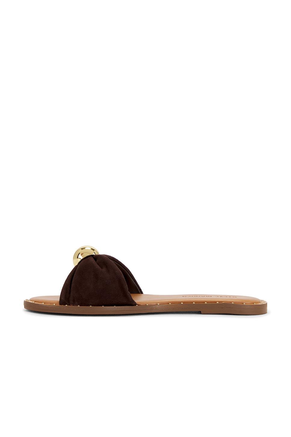 Dipsy Flat Steve Madden Product Image