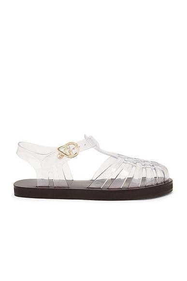 Homeria Jelly Sandal Product Image